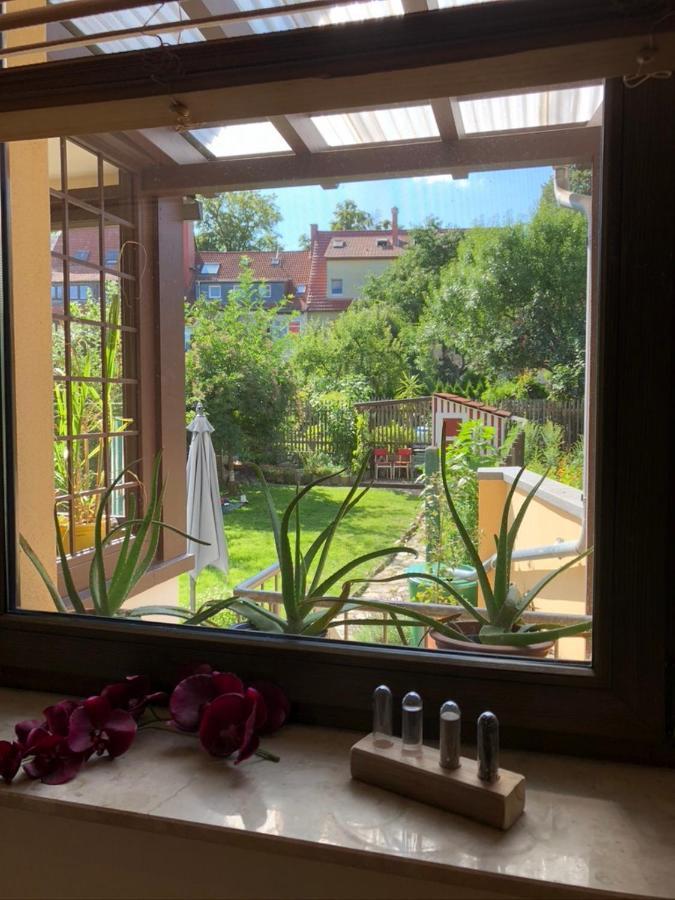 Ferienwohnung An Der Gruenen Clara Erfurt Zewnętrze zdjęcie