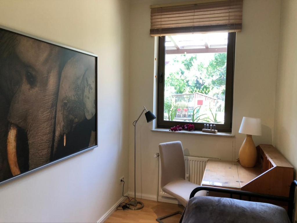 Ferienwohnung An Der Gruenen Clara Erfurt Zewnętrze zdjęcie